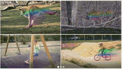 DINO-Tracker teaser animation